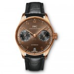 IWC-IW500124